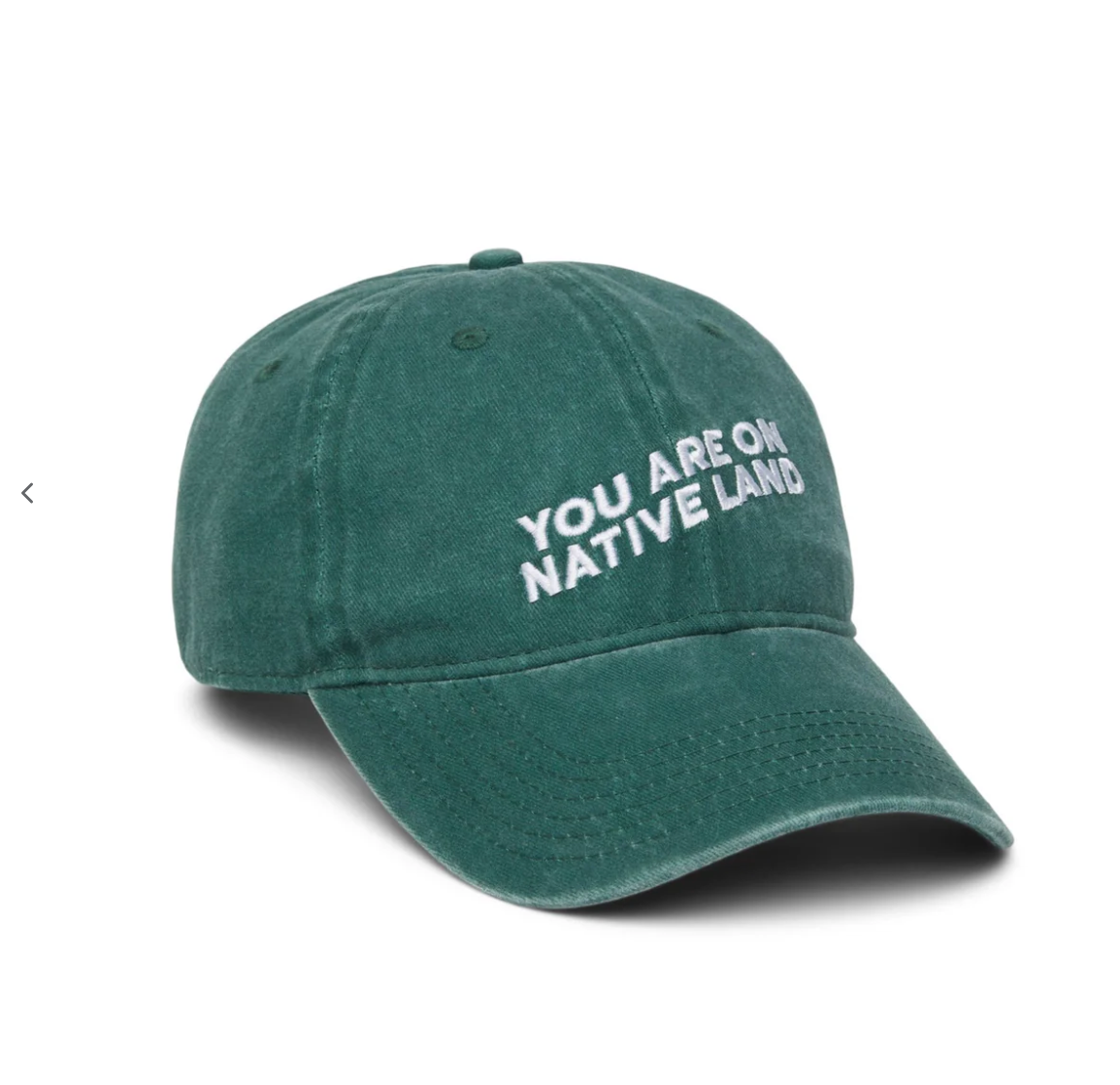 'YOU ARE ON NATIVE LAND' Dad Cap